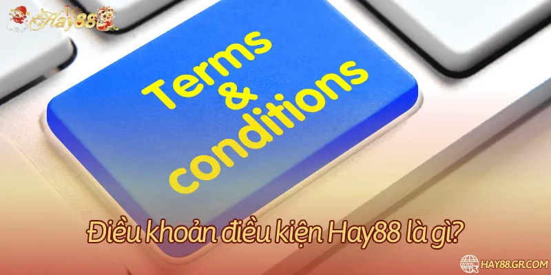 Tìm hiểu chính sách điều khoản và điều kiện của nhà cái Hay88 là gì?