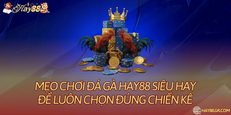 mẹo chơi đá gà Hay88